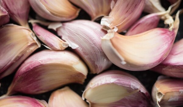 Ajo natural: propiedades, beneficios y usos tradicionales en el bienestar cotidiano